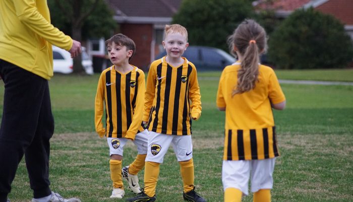 Heffron Hawks Juniors FC MiniRoos